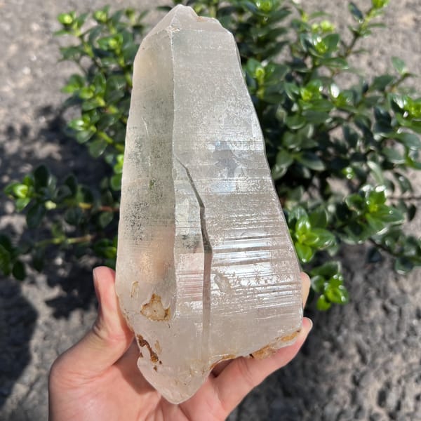 Broad view of the Himalayan quartz showing its rough base and clear tip