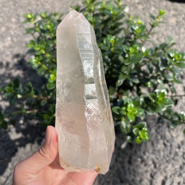 Slim profile of the Himalayan clear quartz crystal held upright