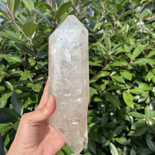Double-terminated clear quartz in hand against bright green leaves