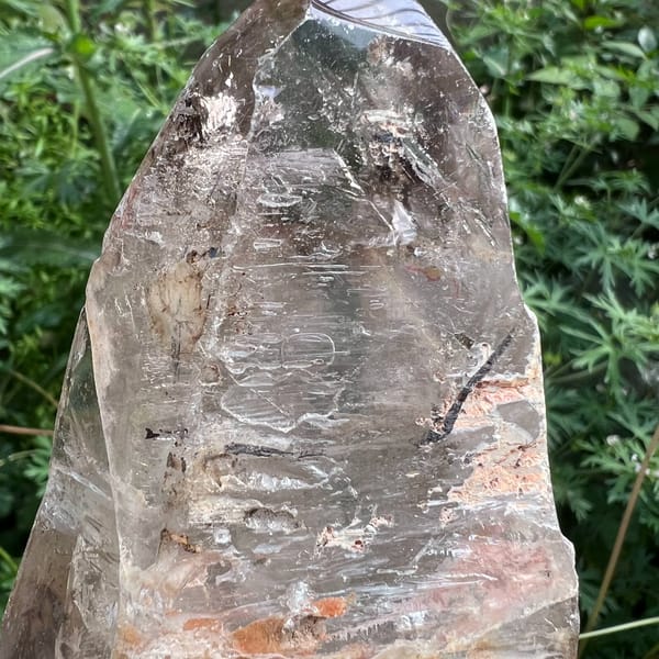Close view of the quartz interior with fluid-inclusion trails and a tourmaline rod