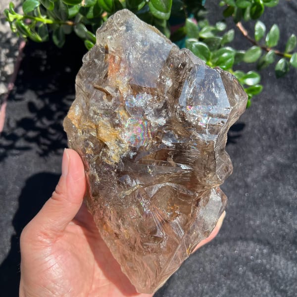 Pakistani smoky quartz skeletal crystal with rainbow colours on its left side