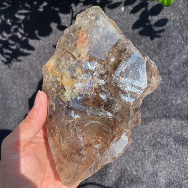 Smoky quartz skeletal crystal angled to show bright window face and rainbows