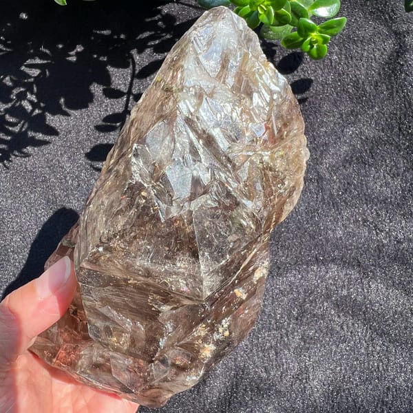 Smoky quartz standing upright showing its tall terminated end