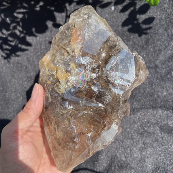 Front view of the smoky quartz with rainbow zone and glossy faces