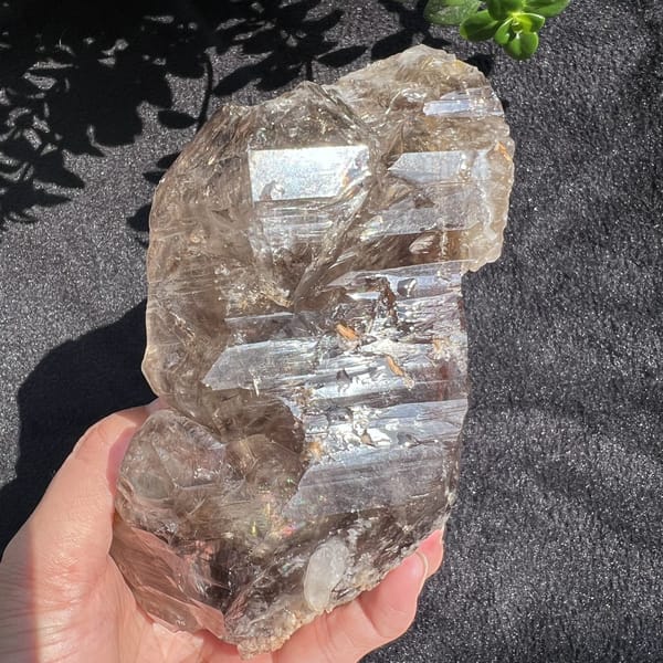 Smoky quartz face with stepped horizontal growth and glossy windows