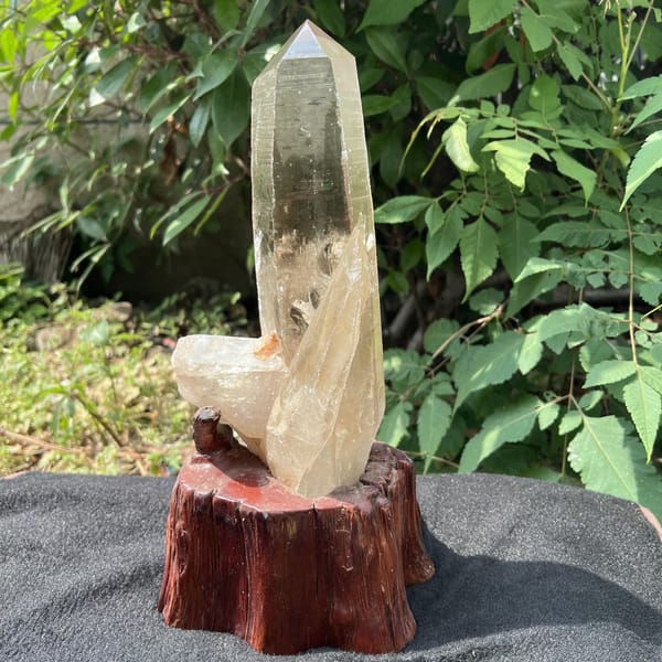 Front of the smoky quartz point on the carved stand among leaves