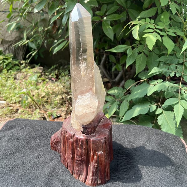 Smoky quartz point from a three-quarter angle on the wooden stand