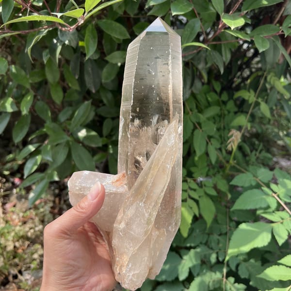 Smoky quartz held against leaves with striations and base crystal visible