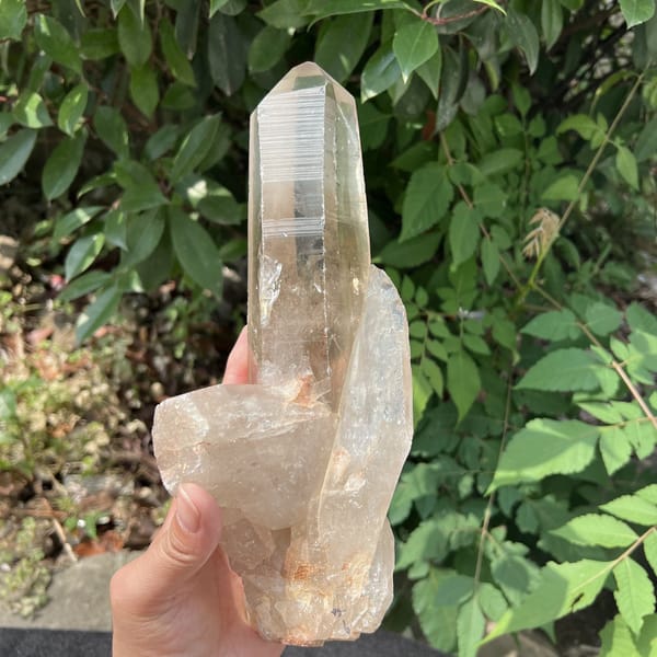 Hand-held smoky quartz showing pale champagne colour and clear tip
