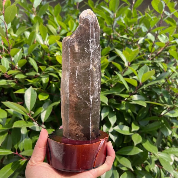 Smoky quartz point on its stand turned to show a notched termination