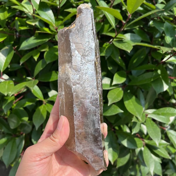 Smoky quartz point held in hand showing a glossy grey-brown face