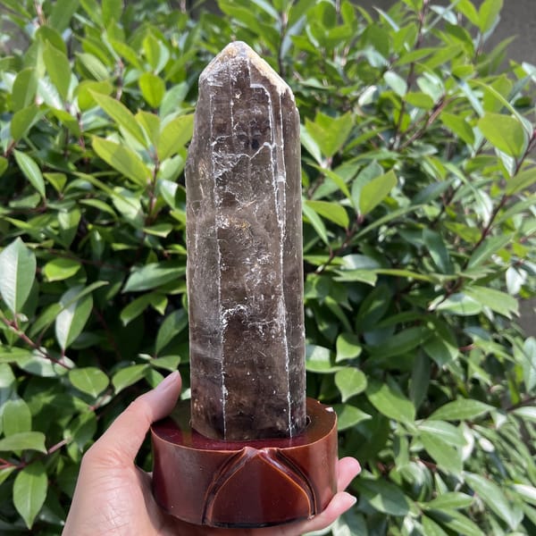 Front of the smoky quartz point on the red stand among green leaves