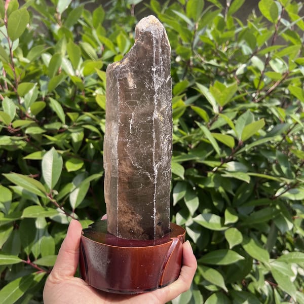 Smoky quartz on stand from the side with frosted tip and white edge veils
