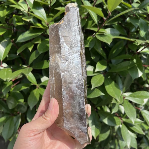 Smoky quartz point from the narrow edge showing glossy grey faces