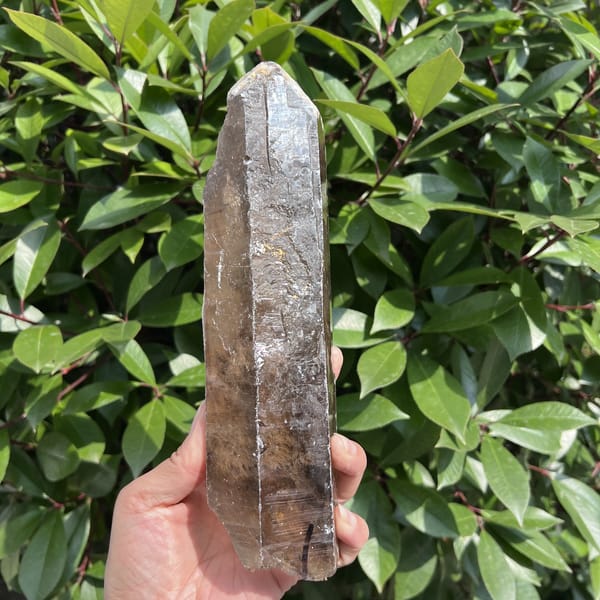 Smoky quartz point held upright with white lines tracing the prism edges