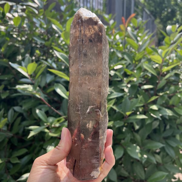 Smoky quartz point with warm red-brown colour and dark inclusions near the base