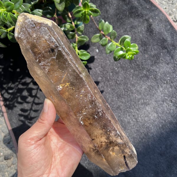 Smoky quartz laid diagonally with amber glow and dark mica inside