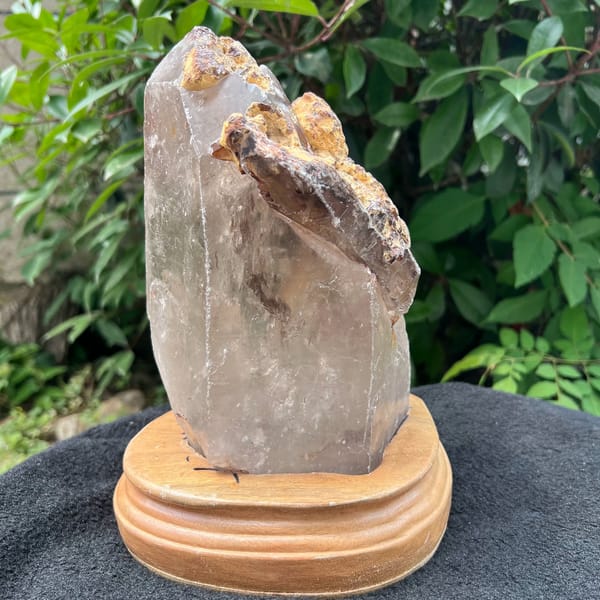 Old-stock quartz on stand from the side with orange-brown crust on top