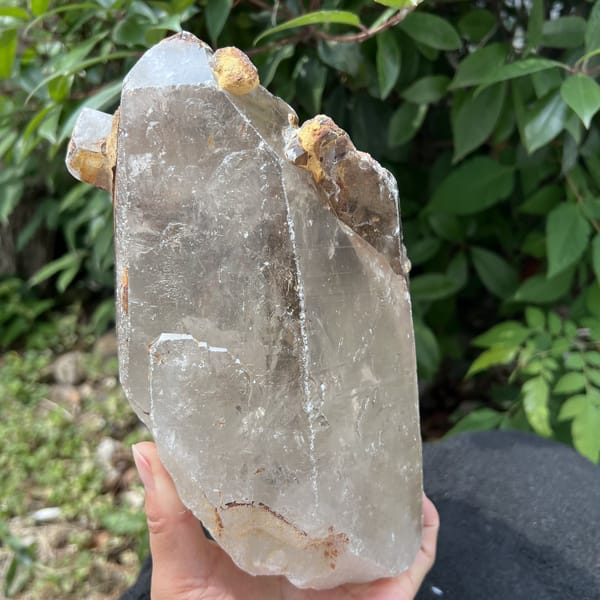 Old-stock quartz held upright showing smoky tint and clear body