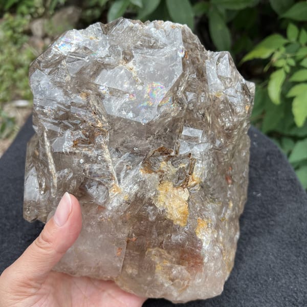 Front of the large smoky quartz with golden-cream patches