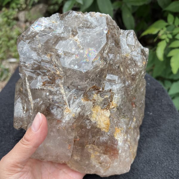 Front view of the large skeletal smoky quartz with rainbows and fluid trails