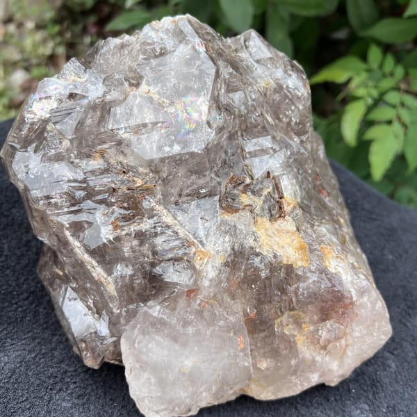 Smoky quartz skeletal crystal front with stepped windows and pale base crystal