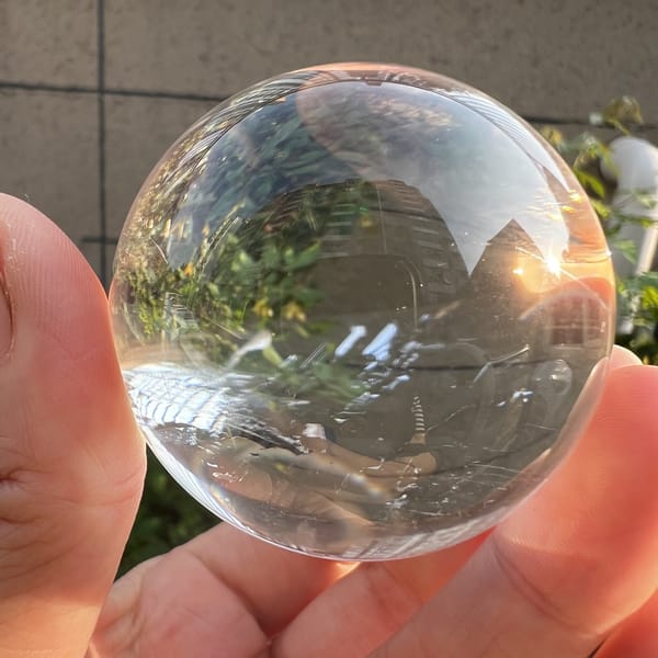 Daylight view of the clear sphere reflecting buildings and leaves