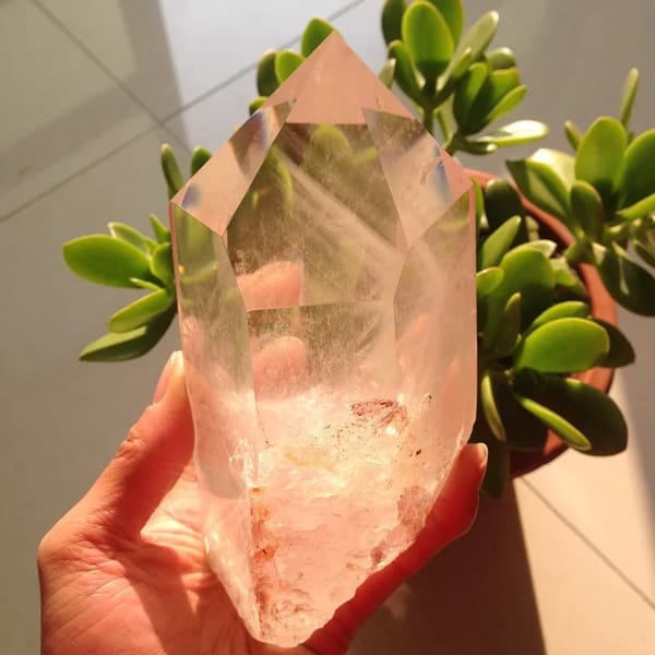 Himalayan quartz point held beside a jade plant, rough base with rust staining