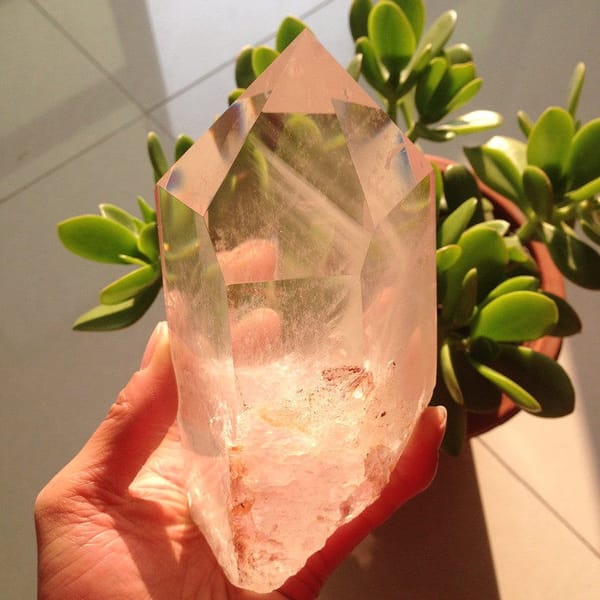 Point in hand next to a potted plant showing clarity and rough lower end