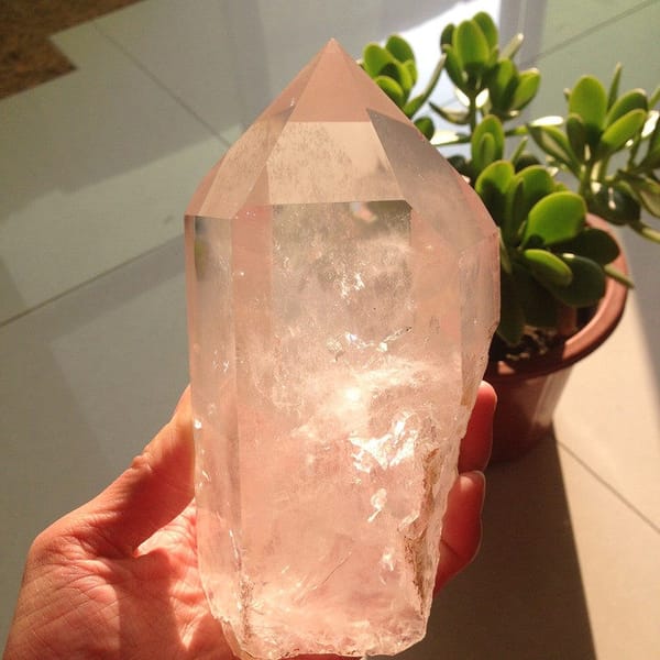 Natural rough base and clear upper section beside a green plant