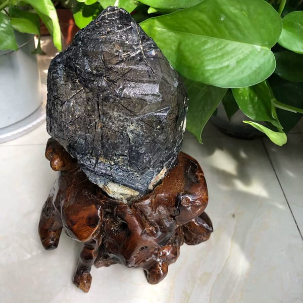 Blue rutilated quartz crystal on a carved root-wood stand among green leaves