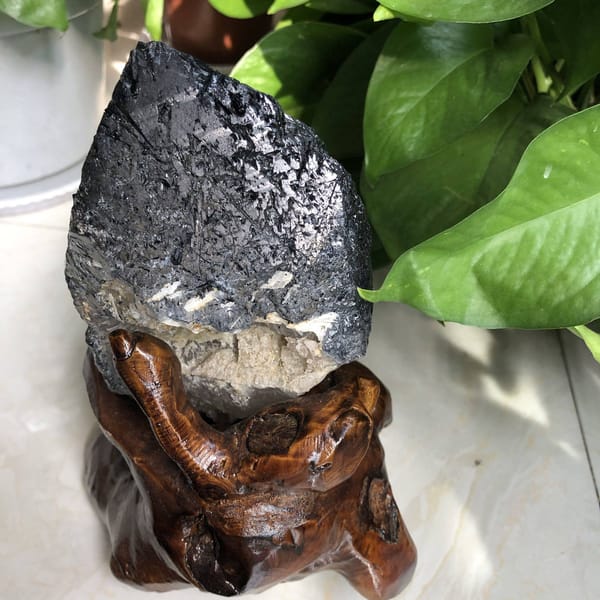 Rear of the crystal with a pale rough base resting in the root stand