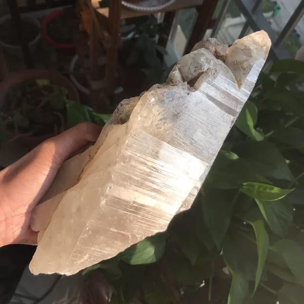 Crystal laid sideways in hand showing its length and lustrous faces