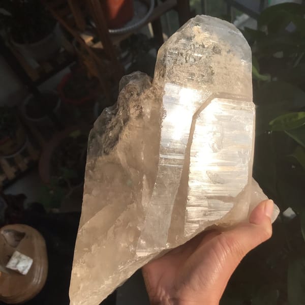 Hand supporting the specimen, striated face glowing in sunlight