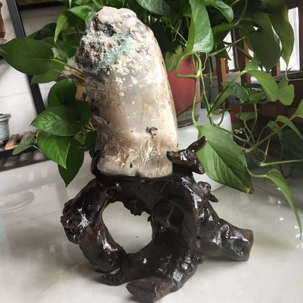 Quartz crystal with a blue tourmaline cap standing on a dark root-wood stand