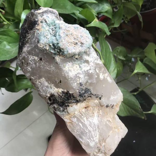 Side view of the tourmaline crust and dark specks near the crystal tip