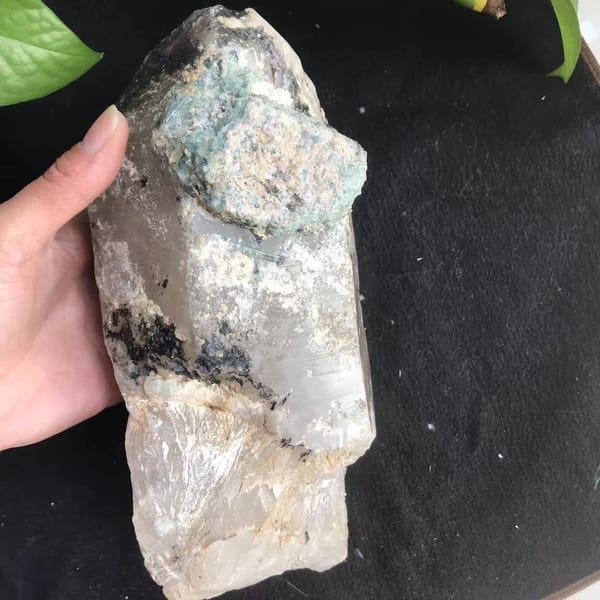 Crystal held on black cloth showing tourmaline crust and fibrous base