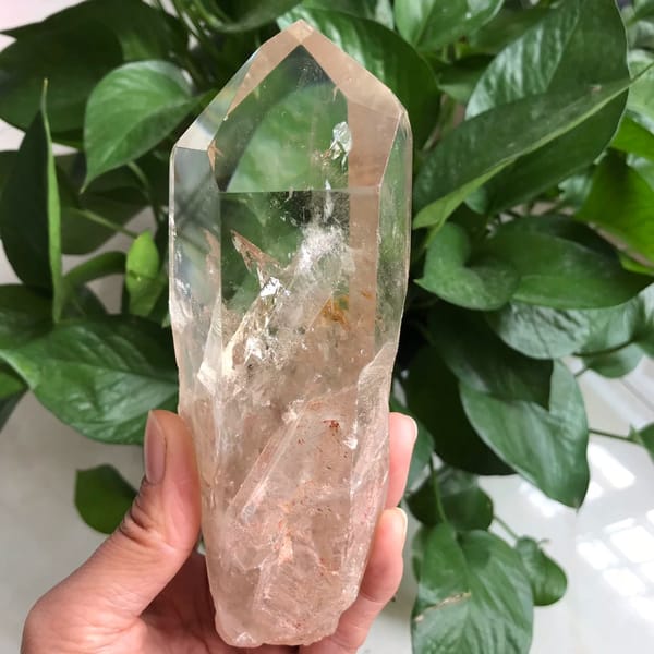 Clear quartz point held against leaves with white phantoms inside the body
