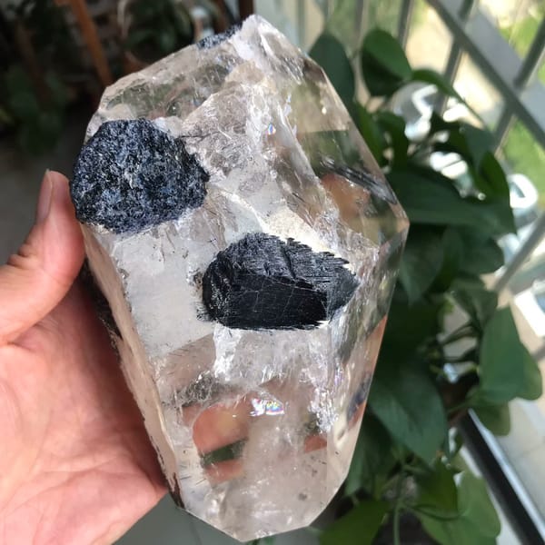 Large near-black tourmaline crystals embedded in the quartz face