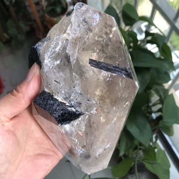 Angled view of surface tourmaline crystals and black needles in quartz