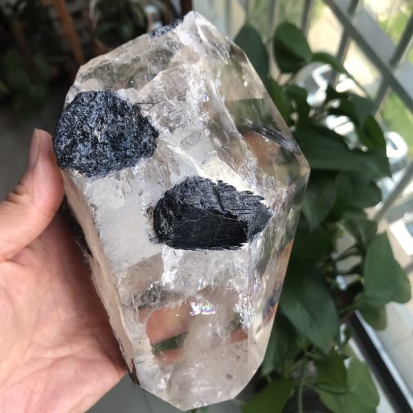 Close view of two large dark tourmaline crystals on the polished face