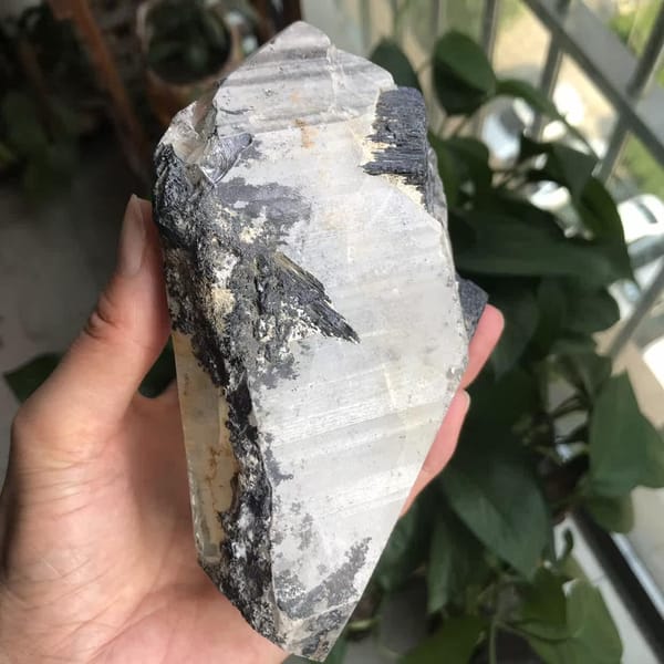 Natural rough back with dark tourmaline embedded in the original skin