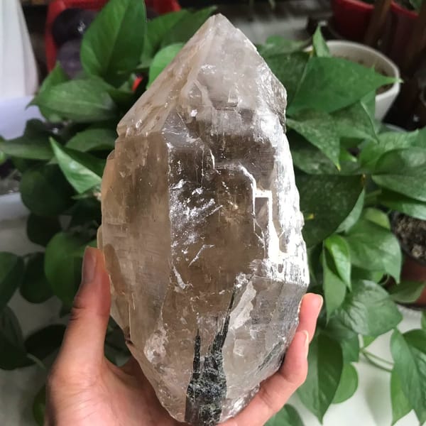Side of the crystal with a dark tourmaline prism at the base