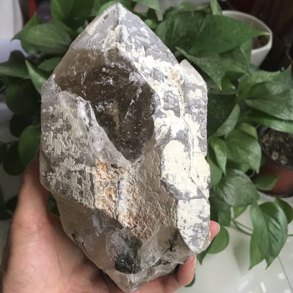 Rear of the specimen with white crust and smoky-yellow quartz