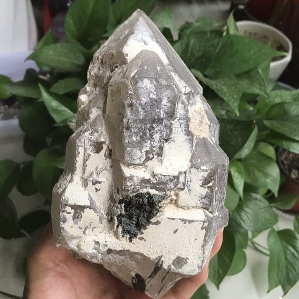 Back face with heavy white crust and dark tourmaline near the base