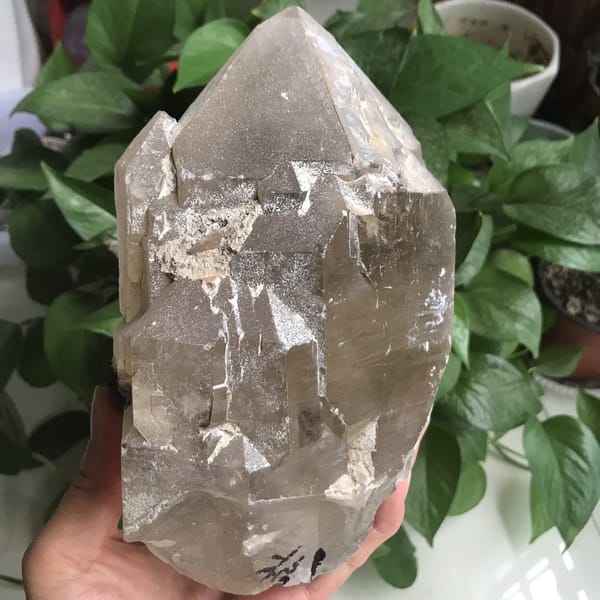 Pale yellow crystal held in hand showing frosted termination faces