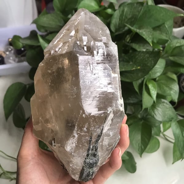 Tall view of the skeletal quartz with tourmaline at the bottom edge