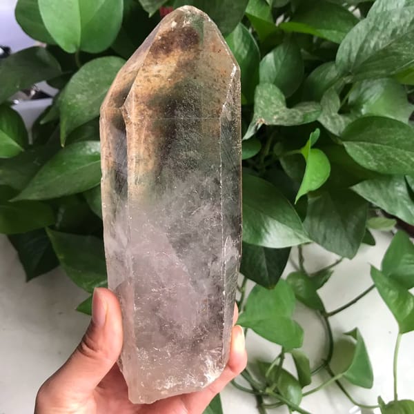 Natural quartz point held against leaves with smoky phantom shadows