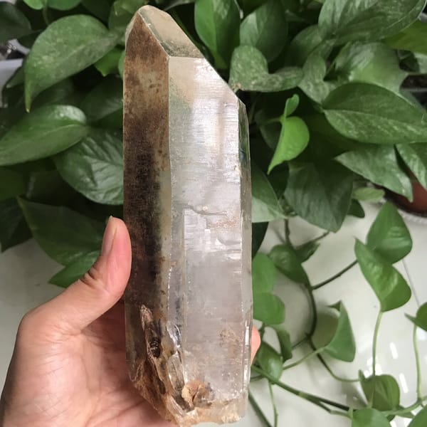 Side of the crystal showing dark phantom zones and a rough base