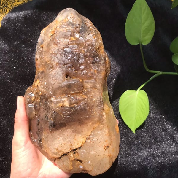 Smoky skeletal quartz held on black velvet with rust-stained etched terraces